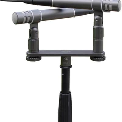 Gefell M 300 - Matched Pair: Matched pair for ORTF stereo recording image 1