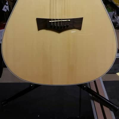 Peavey DW-2 Dreadnought Acoustic/Electric Guitar w/ Built-In Tuner Natural