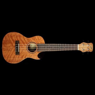 Journey UC770CE - Solid Top Meranti Electric Concert Ukulele w/Case image 10