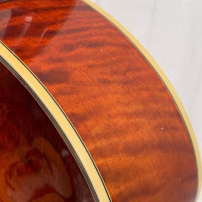 Eastman AR810CE – 2010 image 21