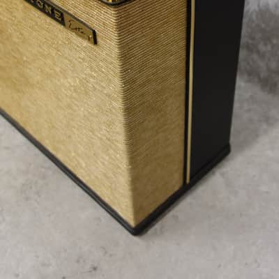 Vintage USA Magnatone Estey RS-1 remote speaker cab image 4