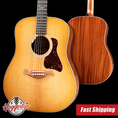 Taylor Trey Hensley Signature Gold Label 510e Special Edition Dreadnought Acoustic/Electric Guitar with Hardshell Case image 1