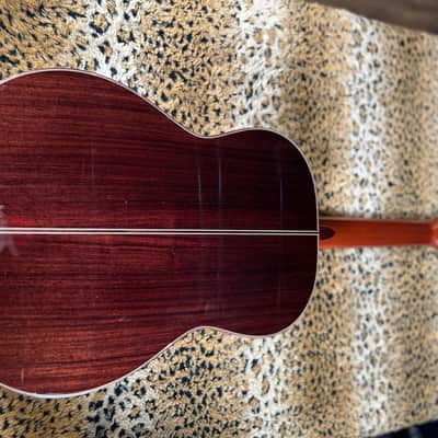Cordoba C10 CD Cedar Classical Guitar Natural 2025 image 13