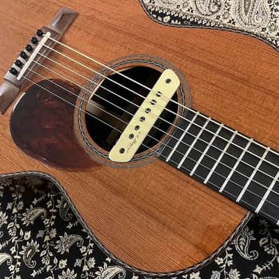 Rasmussen Parlor - Cedar top - Hi gloss natural image 3