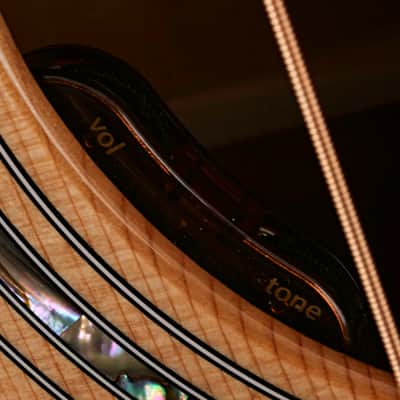 Taylor 514 ce Legacy Guitar #1201315073 image 6