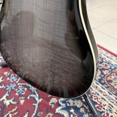 Immagine Paul Reed Smith PRS SE Hollowbody Standard Dog Hair Smokeburst - 14