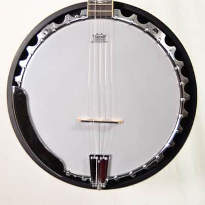 Washburn B10-A 5 String Banjo 2021 image 2
