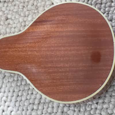 Alte Mandoline Gitarre Guitar Höfner Hofner  545 1950-1960 image 8