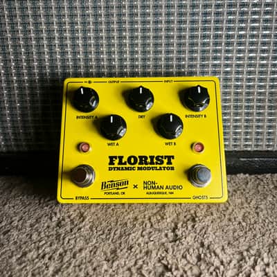 Benson Amps / Non-Human Audio Florist Dynamic Modulator | Reverb