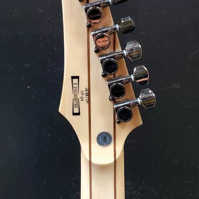 Ibanez JEM77P-BFP Steve Vai Signature - Blue Floral Pattern w/FREE Pro Set Up image 6