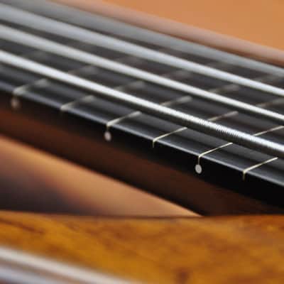 Marleaux Consat SE 5 string Fretless (lined) Limited Edition-Anniversary Serial#2516 Old Violin image 10