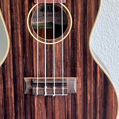 Kala KA-EBY-C Striped Ebony Concert Ukulele - Satin image 3