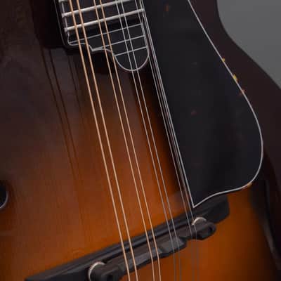 Northfield Big Mon w/ Engelmann Top, Tortoise Binding & Wide Nut (#B260901) image 7