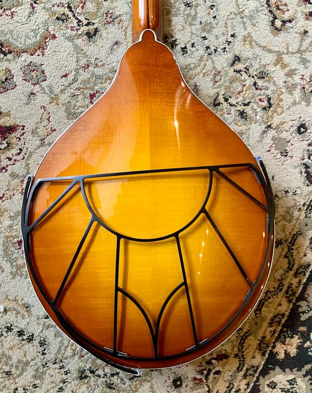 ToneGard for octave mandolin- OMGard image 1