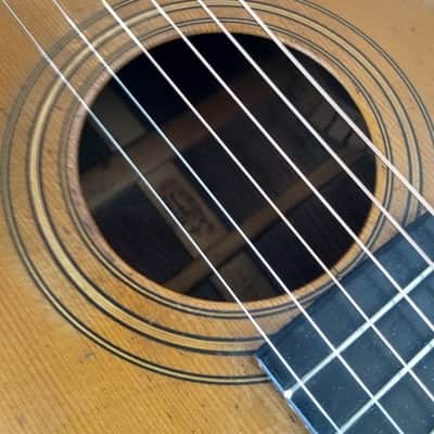 Vintage George Washburn Parlor Acoustic Guitar - ( Est: 1880-1920 ) image 8