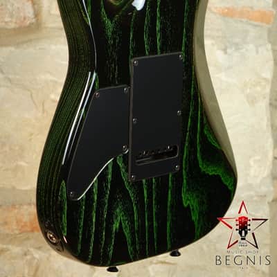TOM ANDERSON Pro Am HS - Swamp Ash Body & Reverse Headstock - Black with Green Dog Hair image 18