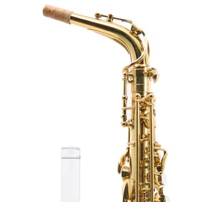 Giardinelli by Eastman GAS10 Alto Saxophone in Gold Lacquer SN 11533980 image 4