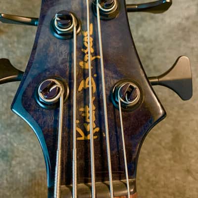Roscoe Century Custom 5J 2015 Blueburst image 17