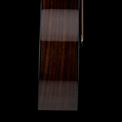 Taylor 214ce Plus #65488 (Demonstration Model) image 6