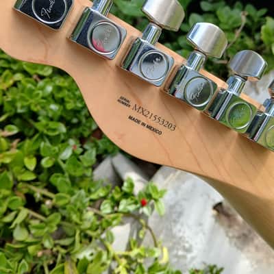 Fender Player Telecaster with Pau Ferro Fretboard 2018 - Present - Polar White image 15