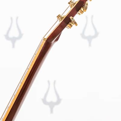 Daion Year Series '82 Six String Acoustic image 14
