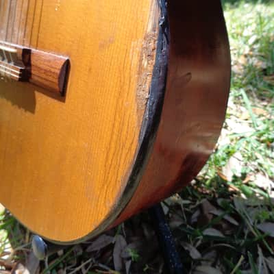 Vintage Meifter (Herbert Schaffner) Classical Flamenco Guitar Made in Germany image 2