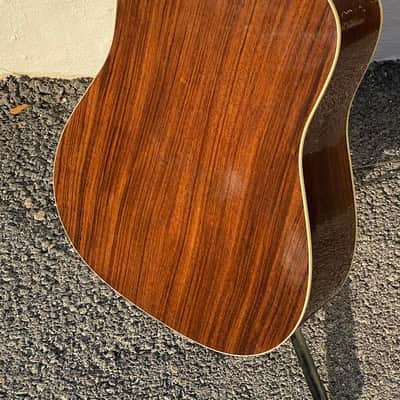 Eastman AC420 Bearclaw image 7
