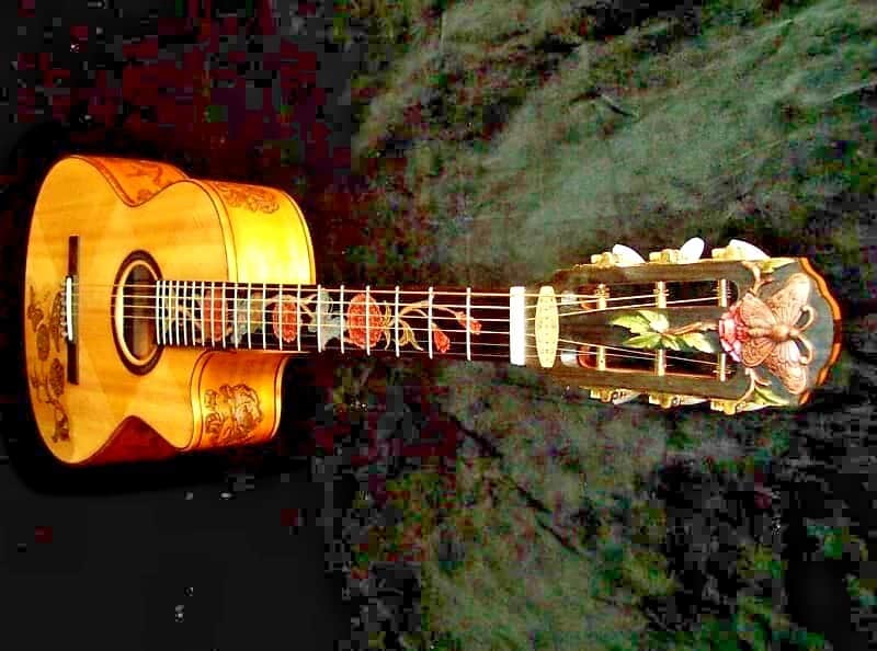 Acoustic Parlor Cutaway Guitar Handmade by Blueberry Butterflies Motif image 1