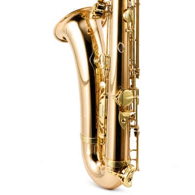 Yanagisawa TWO20 Professional Bb Tenor Saxophone in Lacquered Bronze SN 00399487 image 15