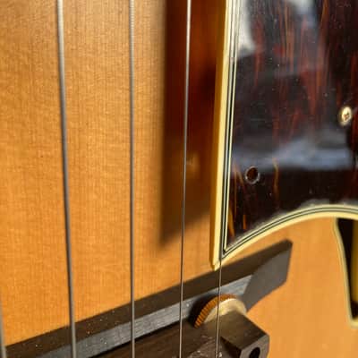 Barrington/ Gruhn Signature Series AT-1 1980s - Blonde image 13
