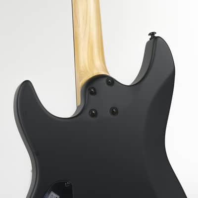 Flat Black Laguna Owned by Greg Howe image 11