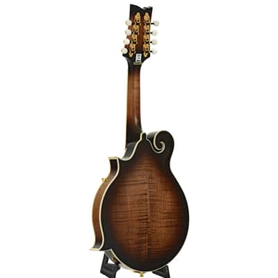 Ortega RMFE100AVO Acoustic-Electric F-Model Mandolin (c.2020) image 12