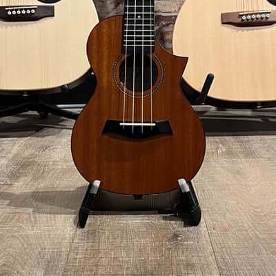 Twisted Wood EM600C with Pickup image 3