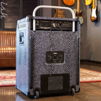 Mesa Boogie Venture M-Pulse Simul State Bass Amplifier 2x12 image 7