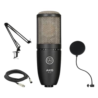 AKG P220 Large-diaphragm Condenser Microphone with Gator Pop Filter, StreamEye Adjustable Boom Arm and XLR Cable image 1
