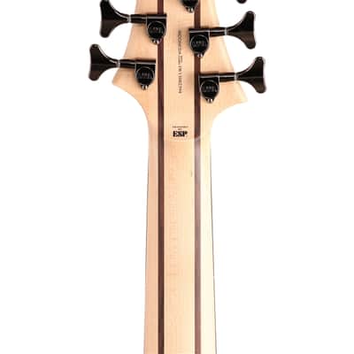 ESP LTD B206SM 6 String Electric Bass Guitar Natural Satin image 7