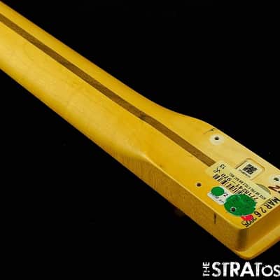 Fender American Professional II Telecaster, Tele NECK +TUNERS, C Shaped MN Maple image 5