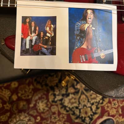Hamer Special Steve Brown Trixter Owned image 4