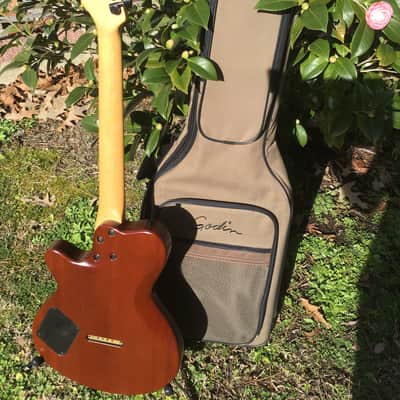 Godin Exit 22 S USA / Canada Mahogany Electric Guitar W/Bag image 7