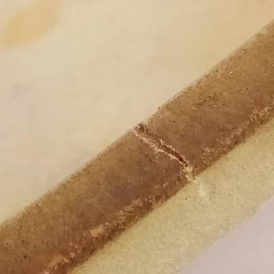 Ludwig Manny's 13" Calf Skin Tom Drum Head Resonant Vintage 30s-40s USA Batter image 7