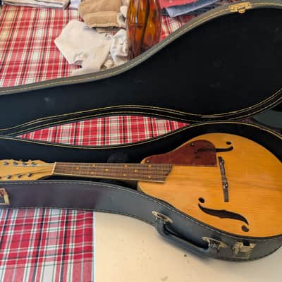 Silvertone A style 1950's Mandolin image 17