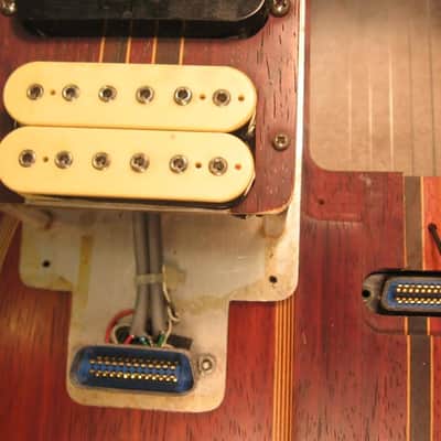 The Joker.THE Guitar! image 23