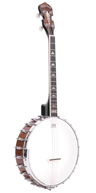 Gold Tone IT-250 Vintage-Style Armrest Maple Neck Openback 4-String Irish Tenor Banjo w/Hard Case image 1