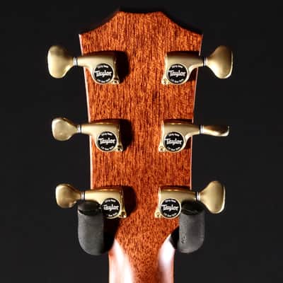 Taylor PS14ce Prototype - Natural Honduran Rosewood image 7