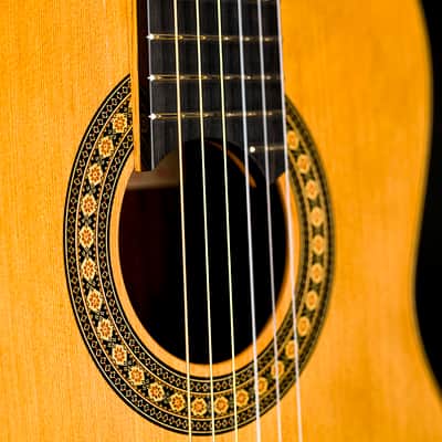 Lukas Sedlacek lattice classical guitar #92 image 7