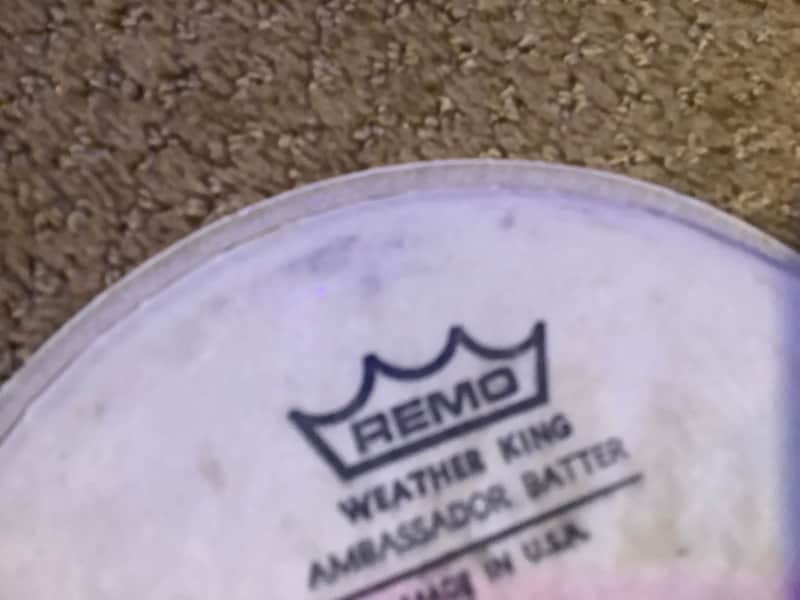 Tama drum head 2010 Coated ambassador image 1