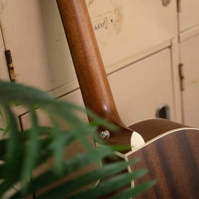 Cort GA1EOP Grand Regal Series Grand Auditorium Body Solid Spruce Top Mahogany Neck 6-String Acoustic-Electric Guitar image 10