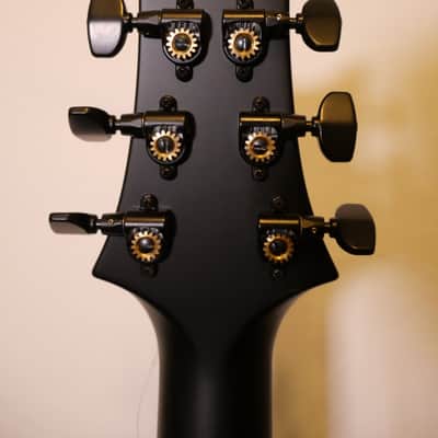 MMC PRS Mark Holcomb Signature Wraparound Burst W/Case image 5
