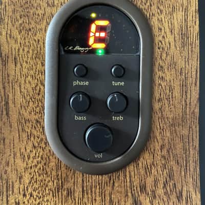 Alvarez AP66ESHB Parlor Acoustic-Electric in Shadowburst w/ Free Pro Setup image 7