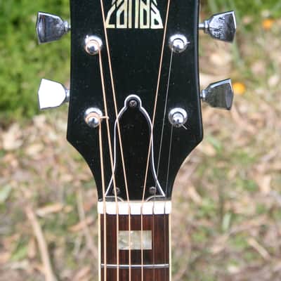 Early 1970’s Canda 202 Hummingbird Model MIJ by Fujigen Gakki+Old Flight Case, All New Frets image 6